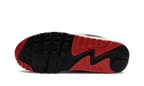 Air Max 90 "Icons - Silver Bullet"