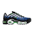 Nike Air Max Plus Icons Deep Royal Scream Green (GS)