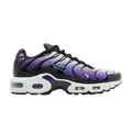 Nike Air Max Plus Reverse Grape (GS)