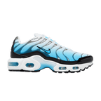 Nike Air Max Plus Ice (GS)