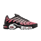 Nike Air Max Plus All Day