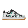 Nike Air Force 1 Low '07 LV8 Flowers (GS)