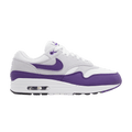 Nike Air Max 1 SC Field Purple
