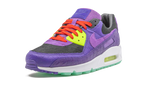 Air Max 90 "Animal Pack - Violet Blend"