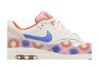 Nike Air Max 1 SE Everything You Need (GS)