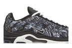 Nike Air Max Plus Dark Smoke Grey