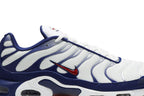 Nike Air Max Plus White Red Blue