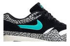 Nike Air Max 1 atmos Elephant (2007)