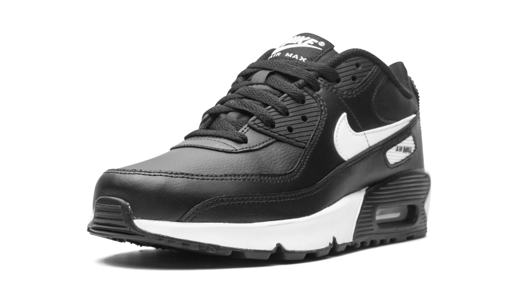 Air Max 90 LTR (GS)