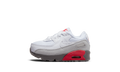 Air Max 90 TD "White Flat Pewter"