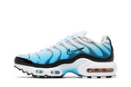 Nike Air Max Plus Fire (GS)
