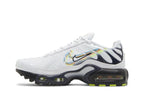 Nike Air Max Plus Multi-Swoosh (GS)
