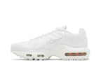 Nike Air Max Plus White Metallic Silver (GS)