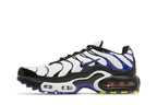 Nike Air Max Plus Persian Violet (GS)