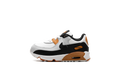 Air Max 90 LTR TD "PURE PLATINUM"