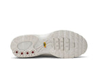 Nike Air Max Plus Phantom Silver (Women's)