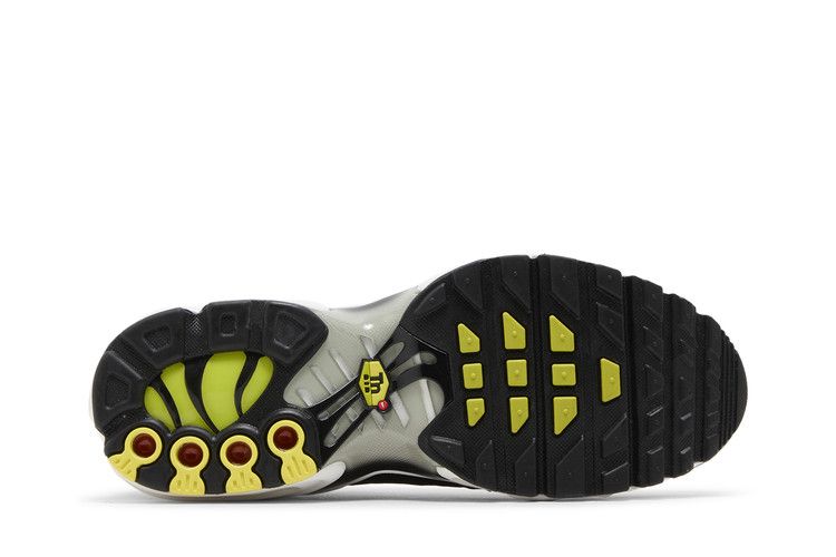 Nike Air Max Plus Black Bright Cactus (GS)