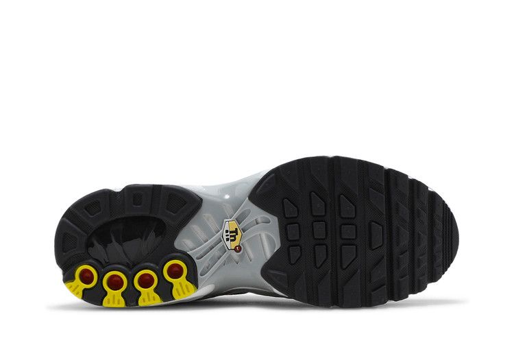 Nike Air Max Plus Dark Smoke Grey (GS)