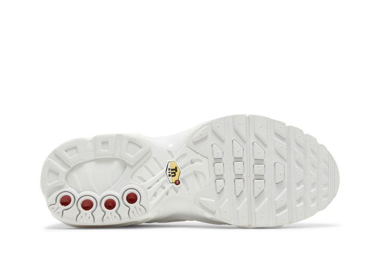 Nike Air Max Plus White Metallic Silver (GS)