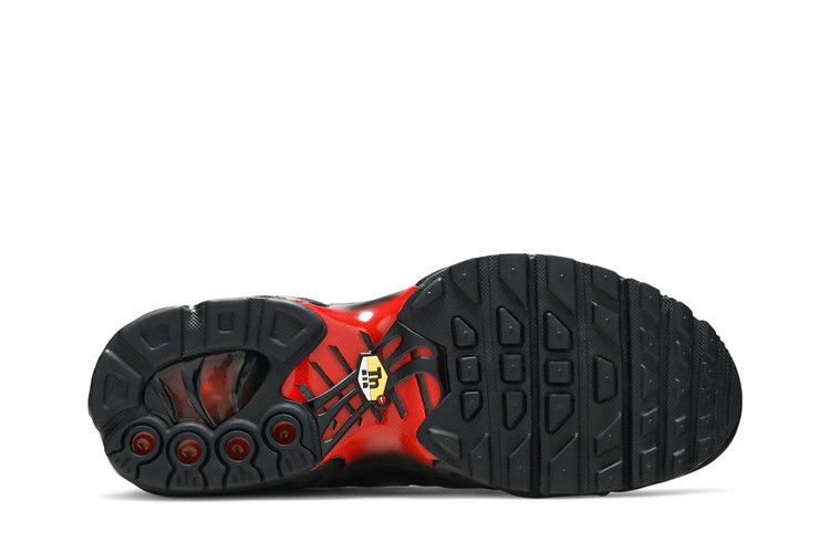 Nike Air Max Plus Black Crimson (GS)