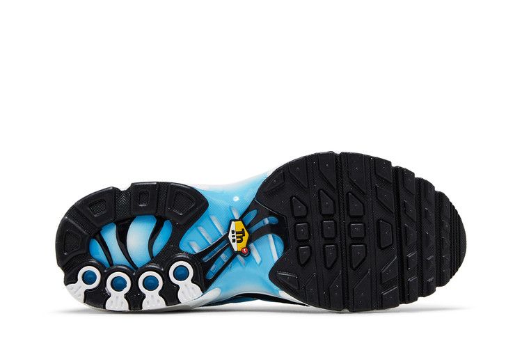 Nike Air Max Plus Fire (GS)