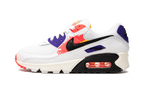 AIR MAX 90 MNS WMNS "Brushstroke"