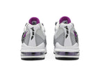 Nike Air Max 95 City Pride Houston (GS)