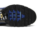 Nike Air Max Plus The Shark France