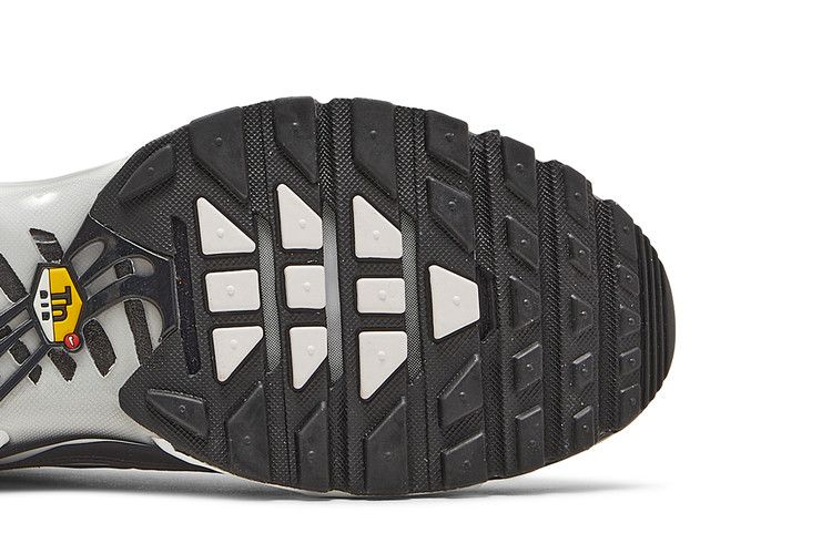 Nike Air Max Plus Dark Smoke Grey