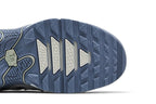 Nike Air Max Plus Drift Ashen Slate (Women's)