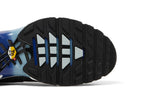 Nike Air Max Plus Kiss My Airs Metallic Silver