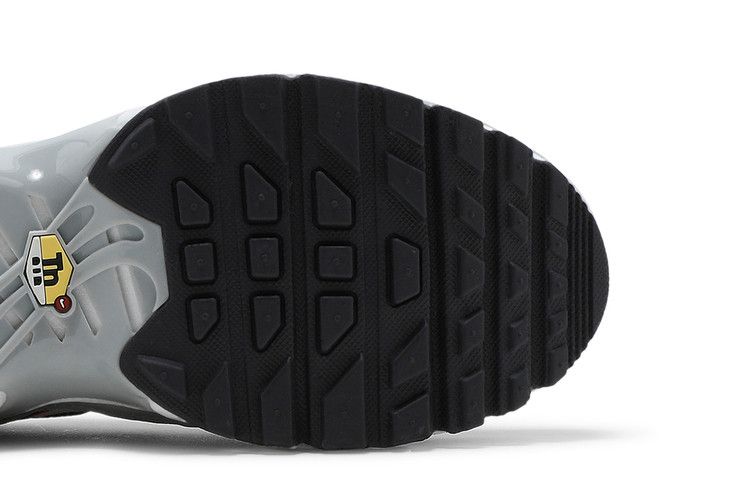 Nike Air Max Plus Dark Smoke Grey (GS)