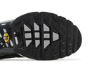 Nike Air Max Plus Greyscale Cool Grey