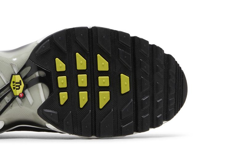 Nike Air Max Plus Black Bright Cactus (GS)