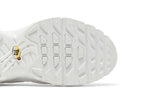 Nike Air Max Plus White Metallic Silver (GS)