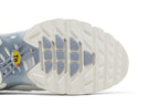 Nike Air Max Plus Ashen Slate (Women's)