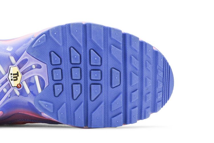 Nike Air Max Plus Fade Blue Pink (GS)