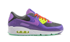Air Max 90 "Animal Pack - Violet Blend"
