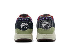 Nike Air Max 1 SP Concepts Mellow