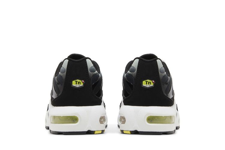 Nike Air Max Plus Black Bright Cactus (GS)