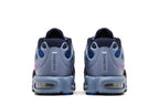 Nike Air Max Plus Drift Ashen Slate