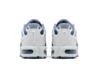 Nike Air Max Plus Drift Ashen Slate (Women's)