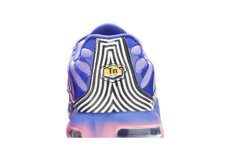 Nike Air Max Plus Fade Blue Pink (GS)