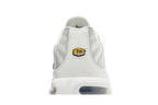 Nike Air Max Plus Smoke Grey Ashen Slate (Women's)