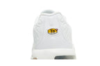 Nike Air Max Plus White Metallic Silver (GS)