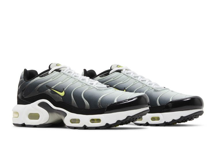 Nike Air Max Plus Black Bright Cactus (GS)