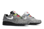 Nike Air Max 1 Tokyo Maze