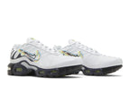 Nike Air Max Plus Multi-Swoosh (GS)