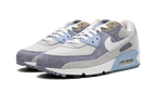 Air Max 90 "Ashen Slate"