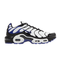 Nike Air Max Plus Persian Violet (GS)